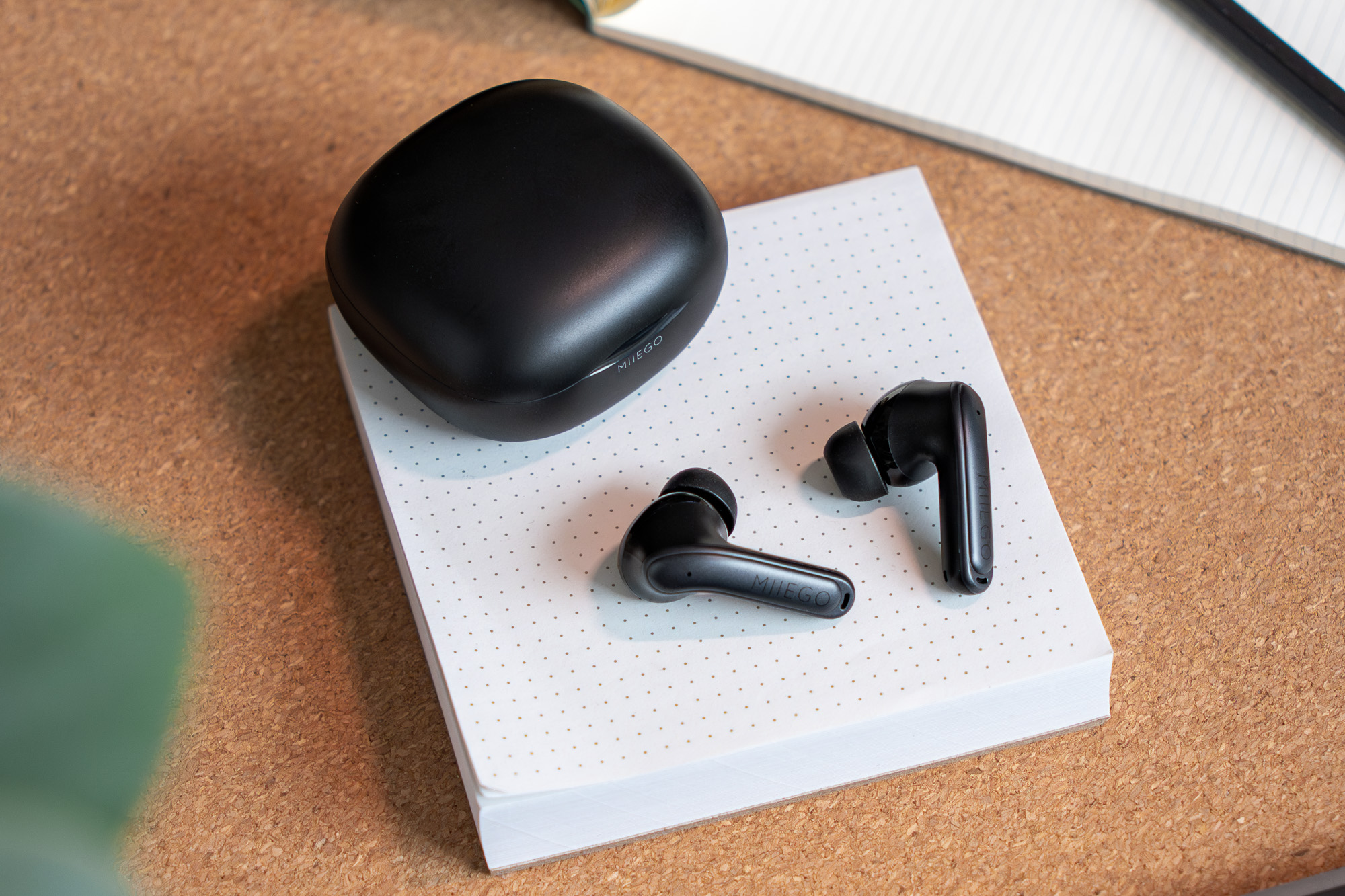MIIEGO Earbuds